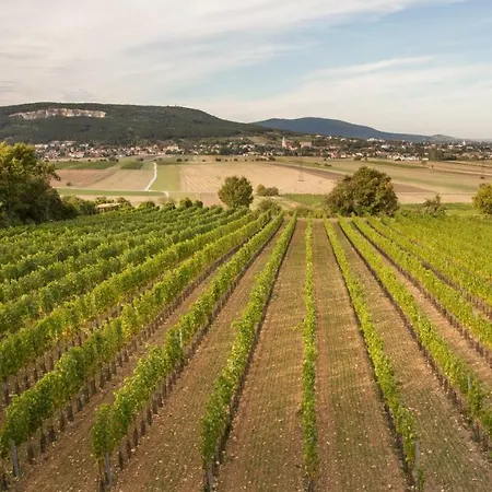 College Garden Hotel Bad Voeslau