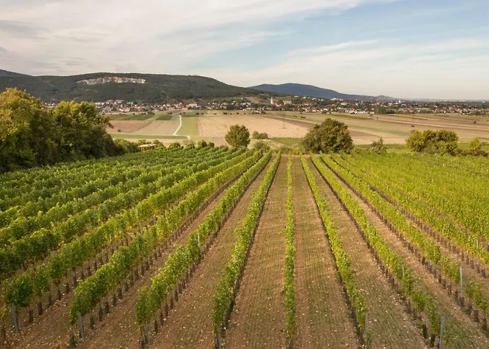 College Garden Hotel Bad Voeslau